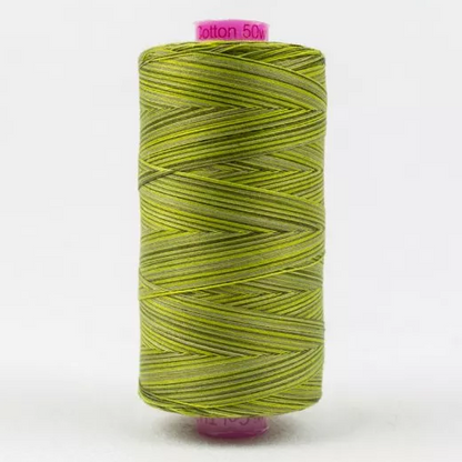 Tutti by Wonderfil (50wt Egyptian Cotton) in moss 32